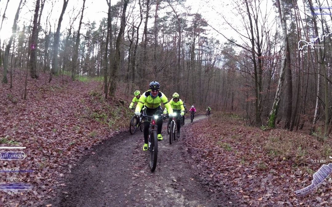 Niedzielny trening MTB w lasach k. Bogdańca