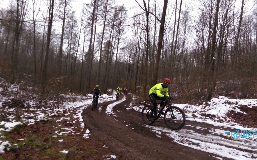 Niedzielny trening w Bogdanieckich lasach